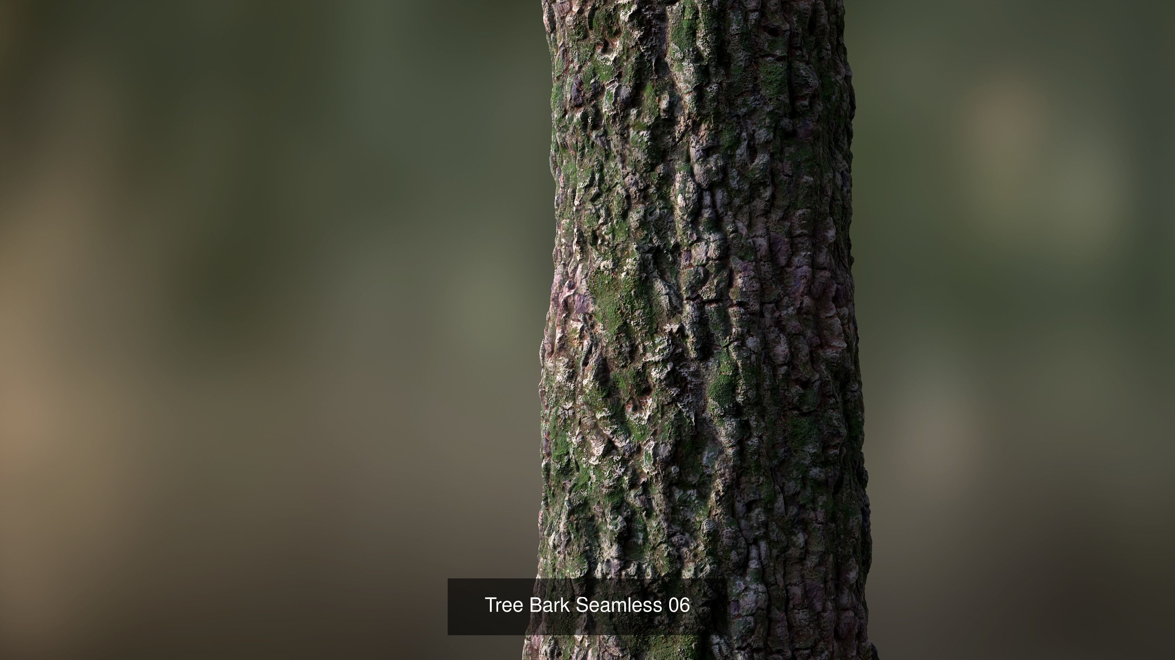 Tree Bark Texture_11