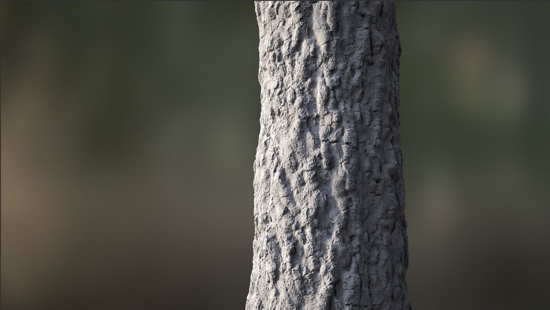 Tree Bark Texture_12