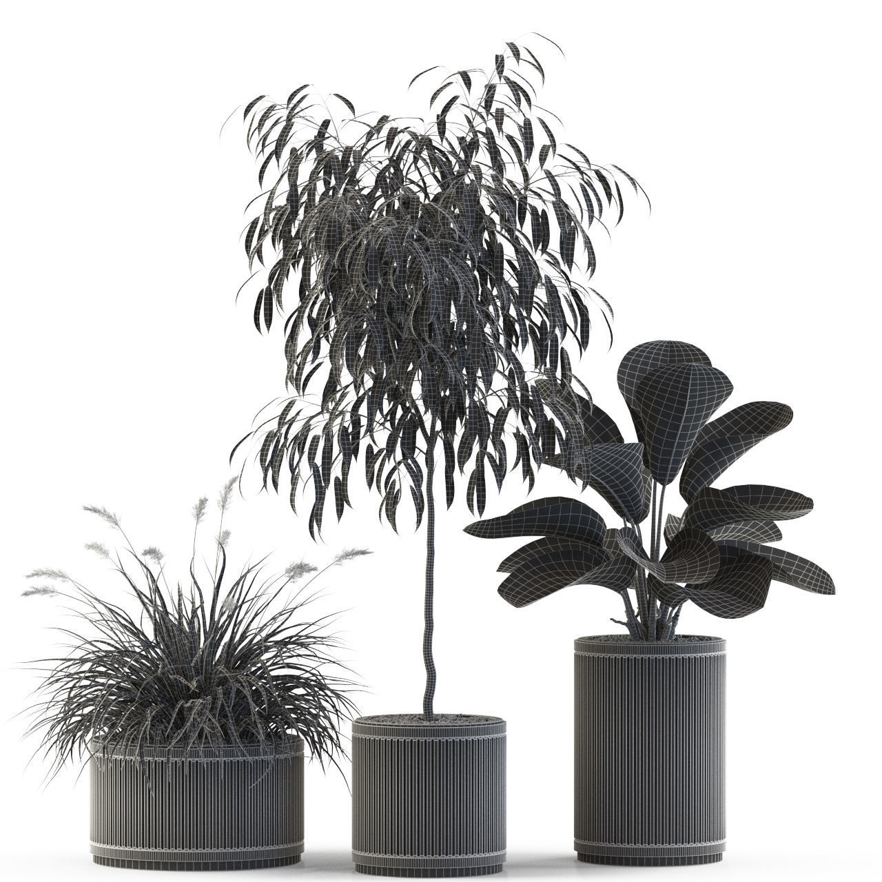 Plants collection 542 3D model_4