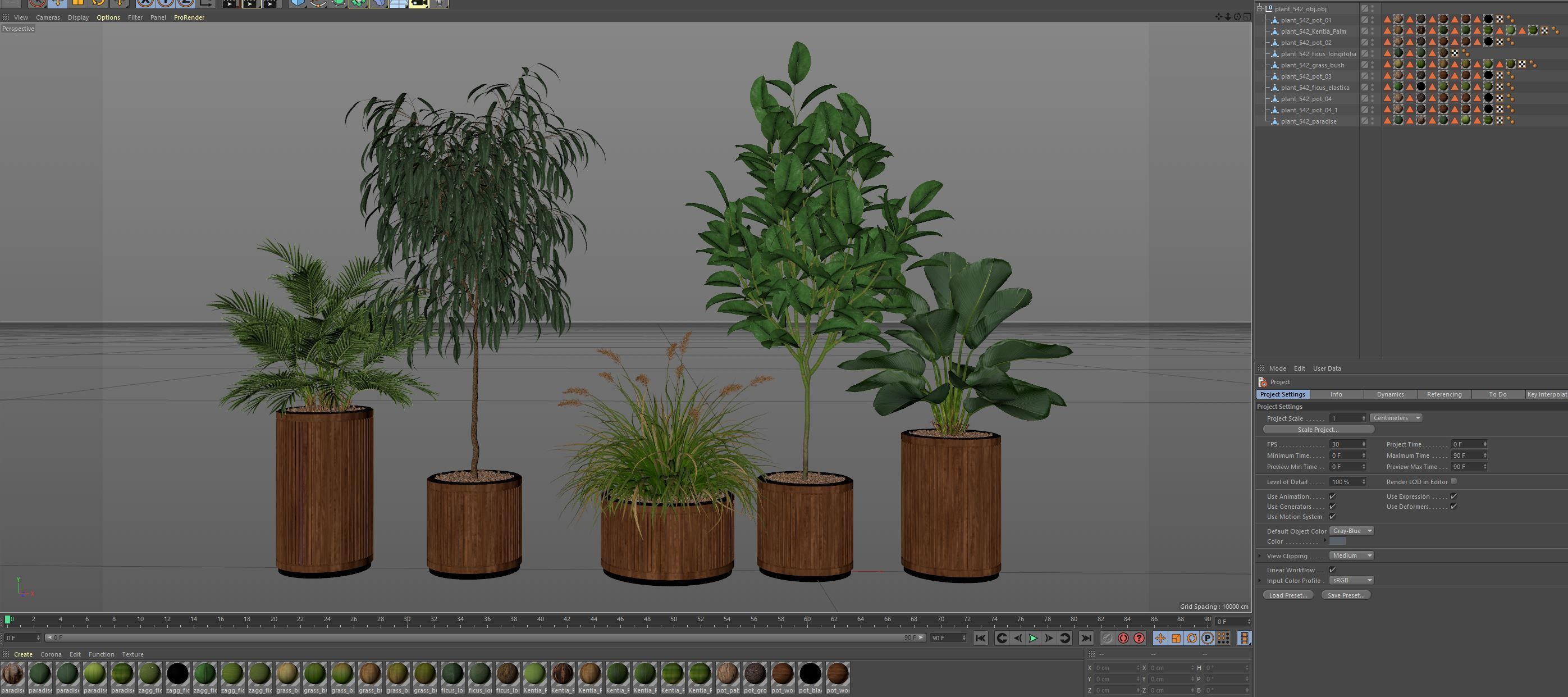 Plants collection 542 3D model_6