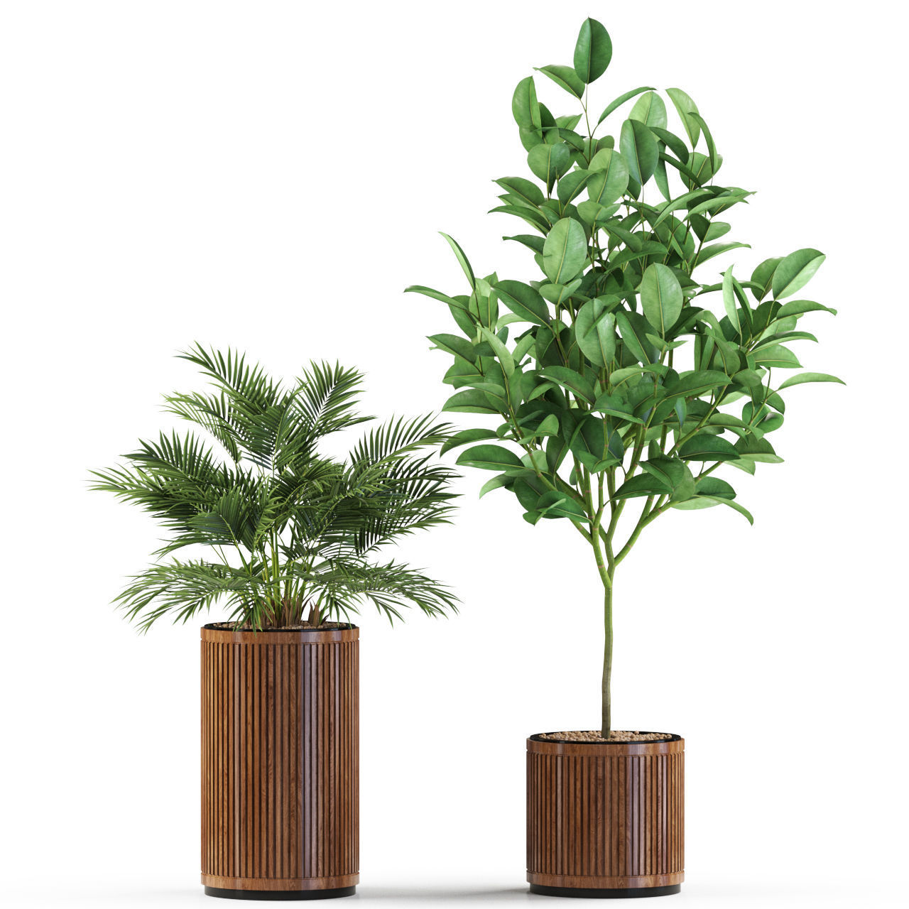 Plants collection 542 3D model_1