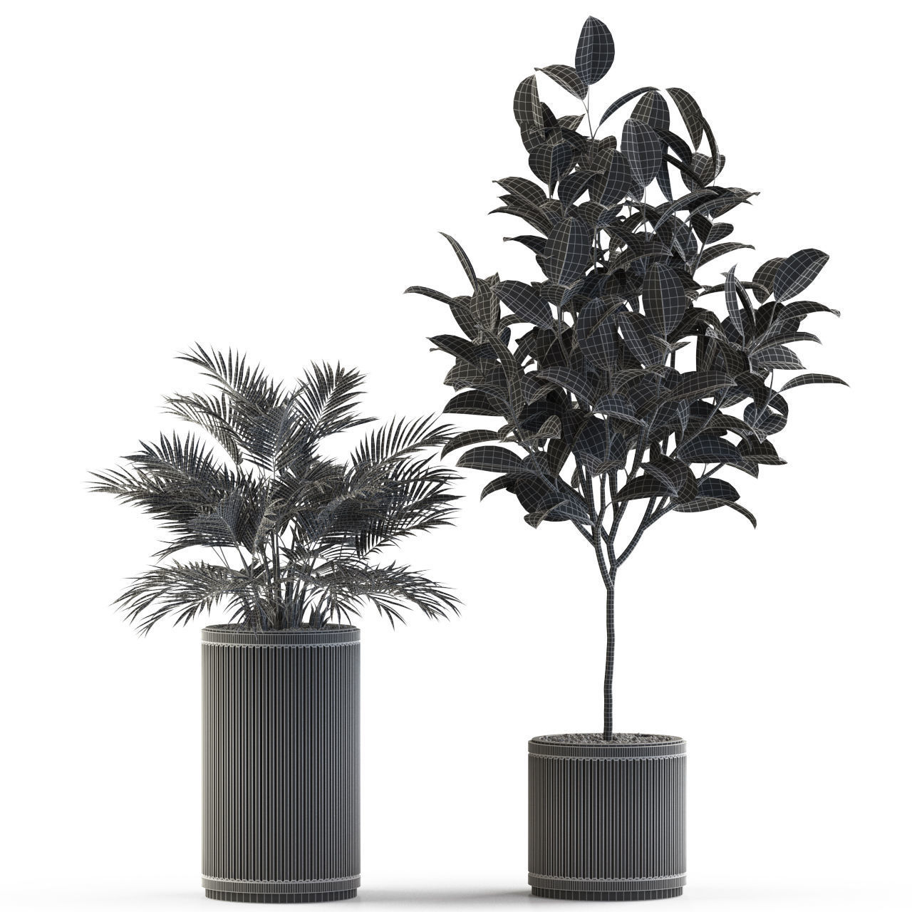 Plants collection 542 3D model_3