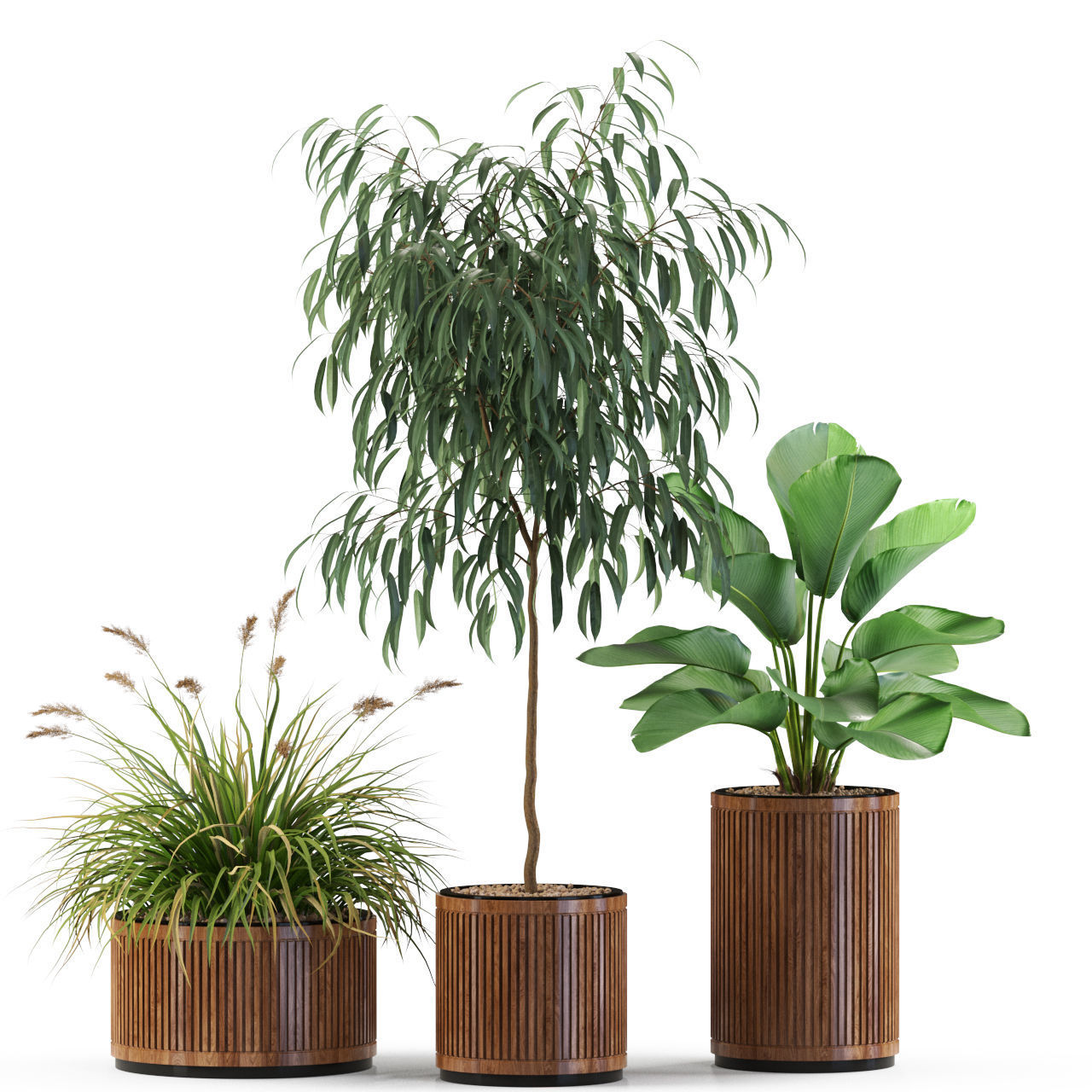 Plants collection 542 3D model_2