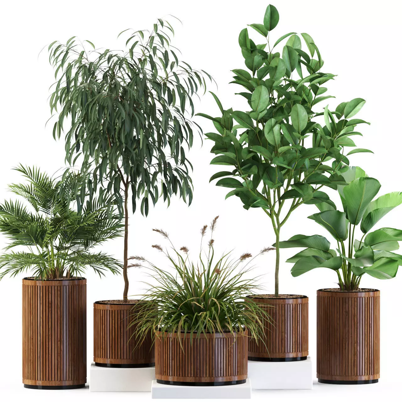 Plants collection 542 3D model_0