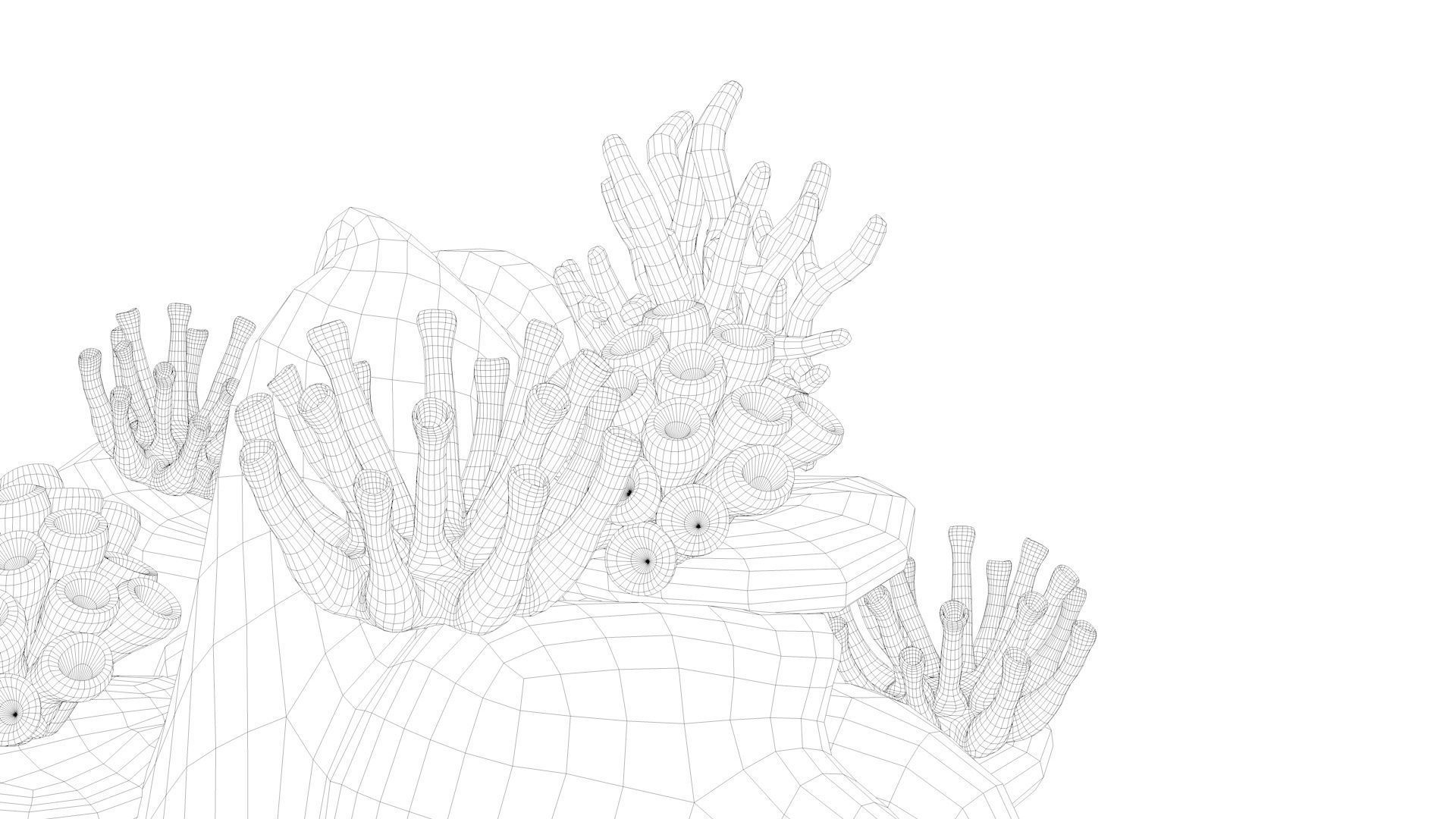 Coral Reef 3D model_20