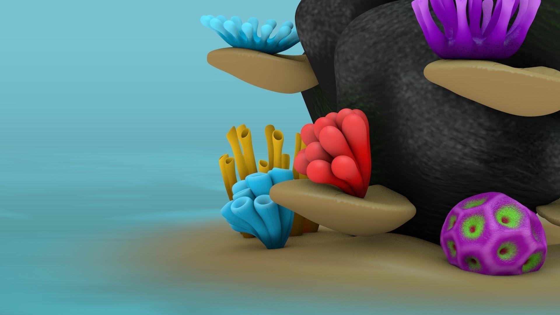 Coral Reef 3D model_8