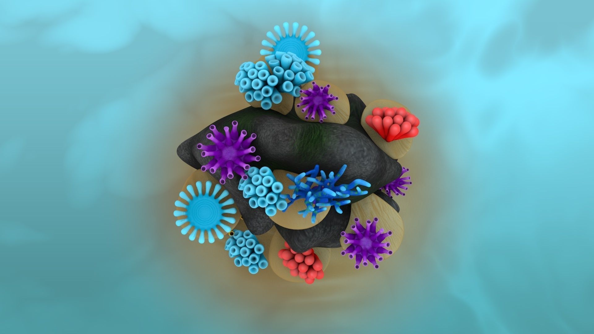 Coral Reef 3D model_7