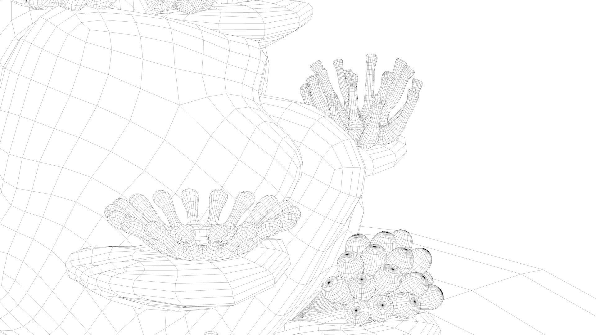 Coral Reef 3D model_21