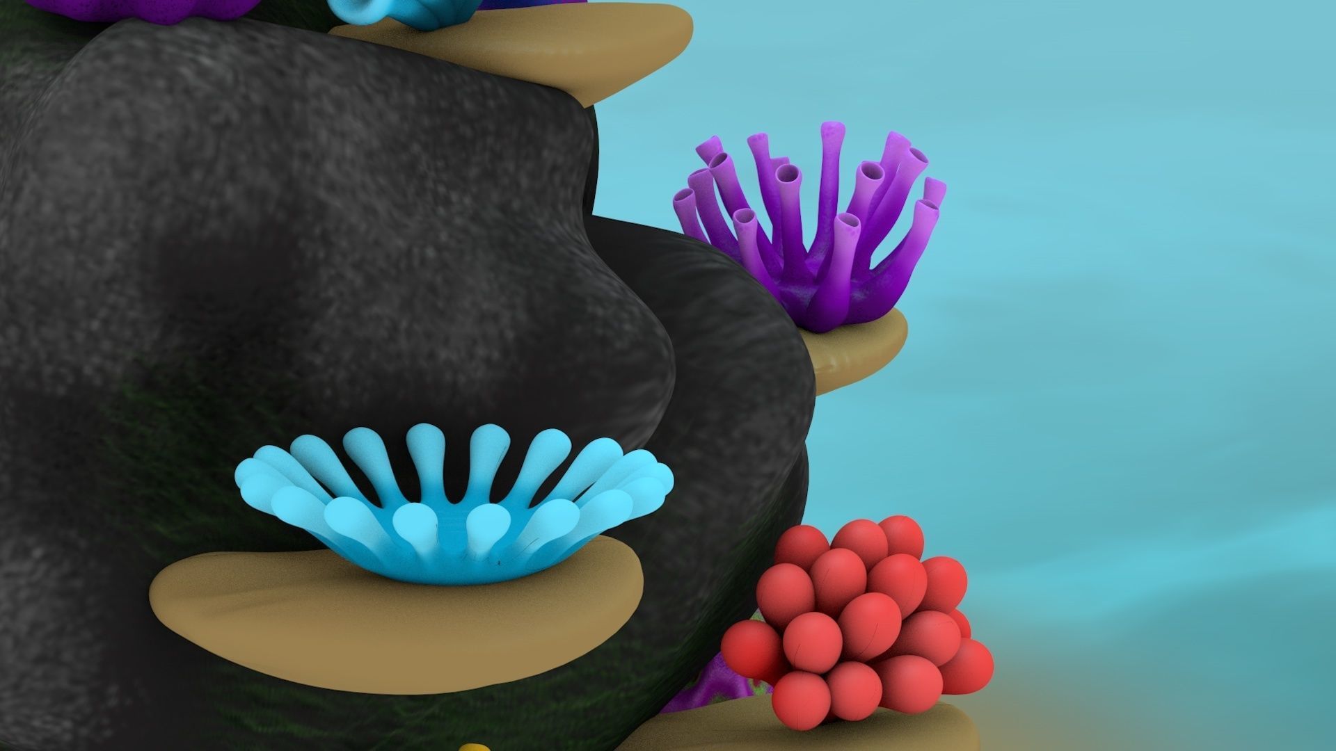 Coral Reef 3D model_10