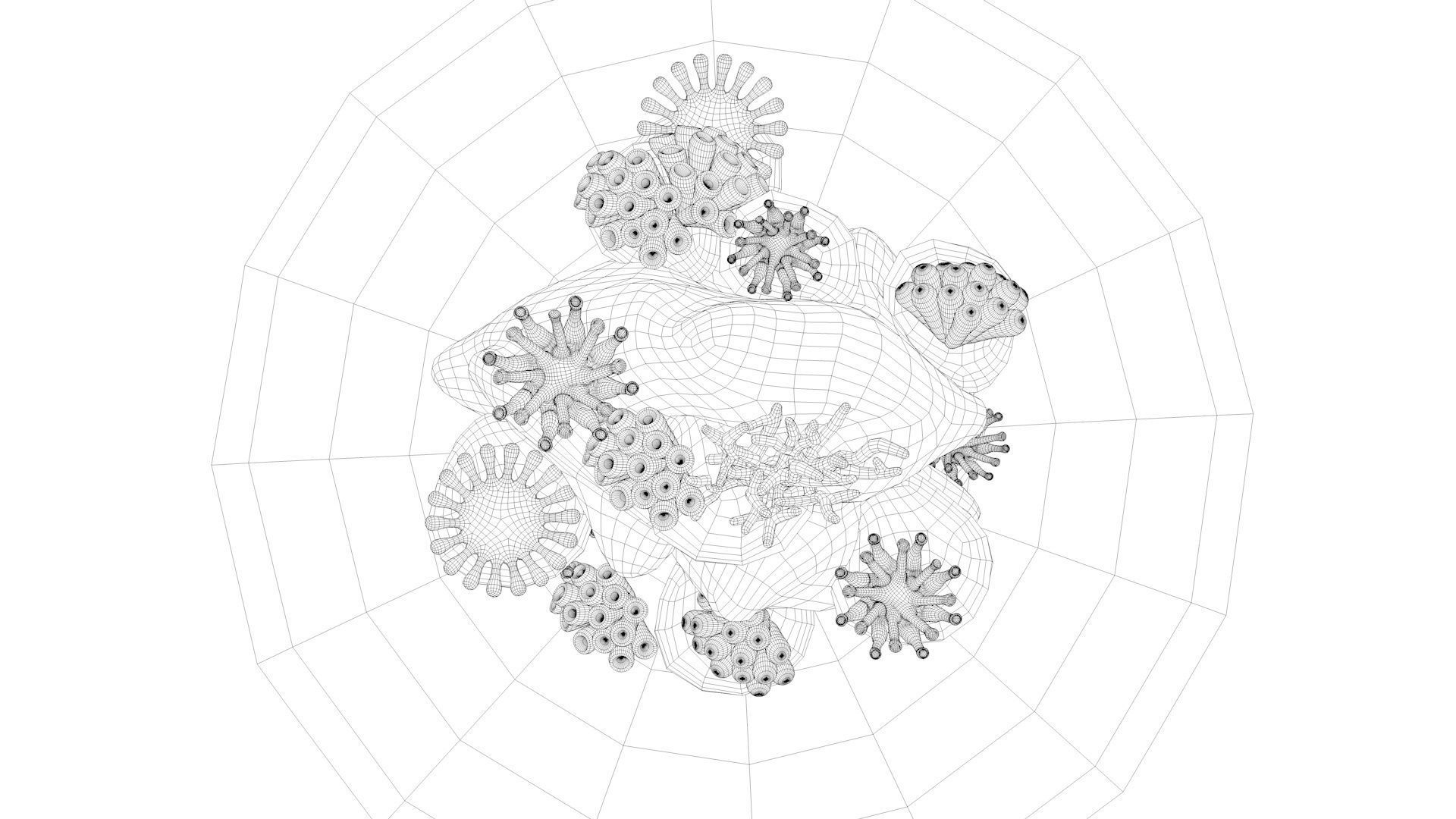 Coral Reef 3D model_18