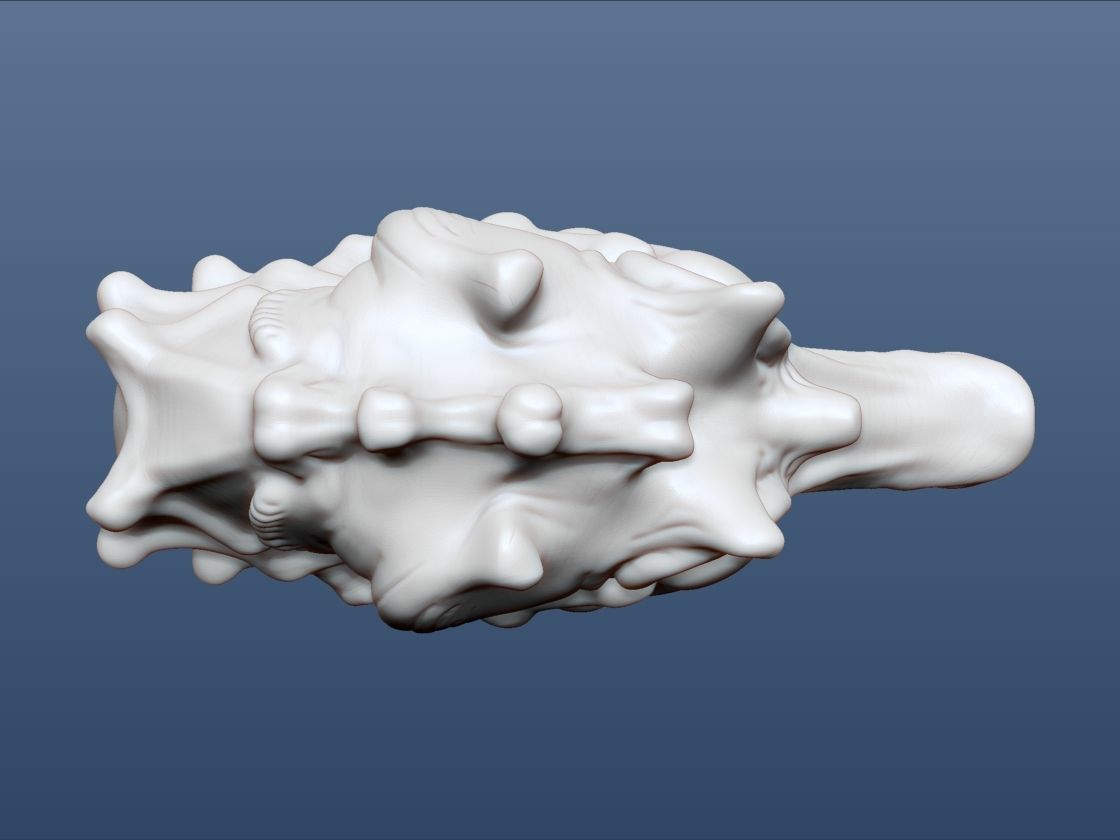 3d Printable Animal Seahorse 3D print model_10