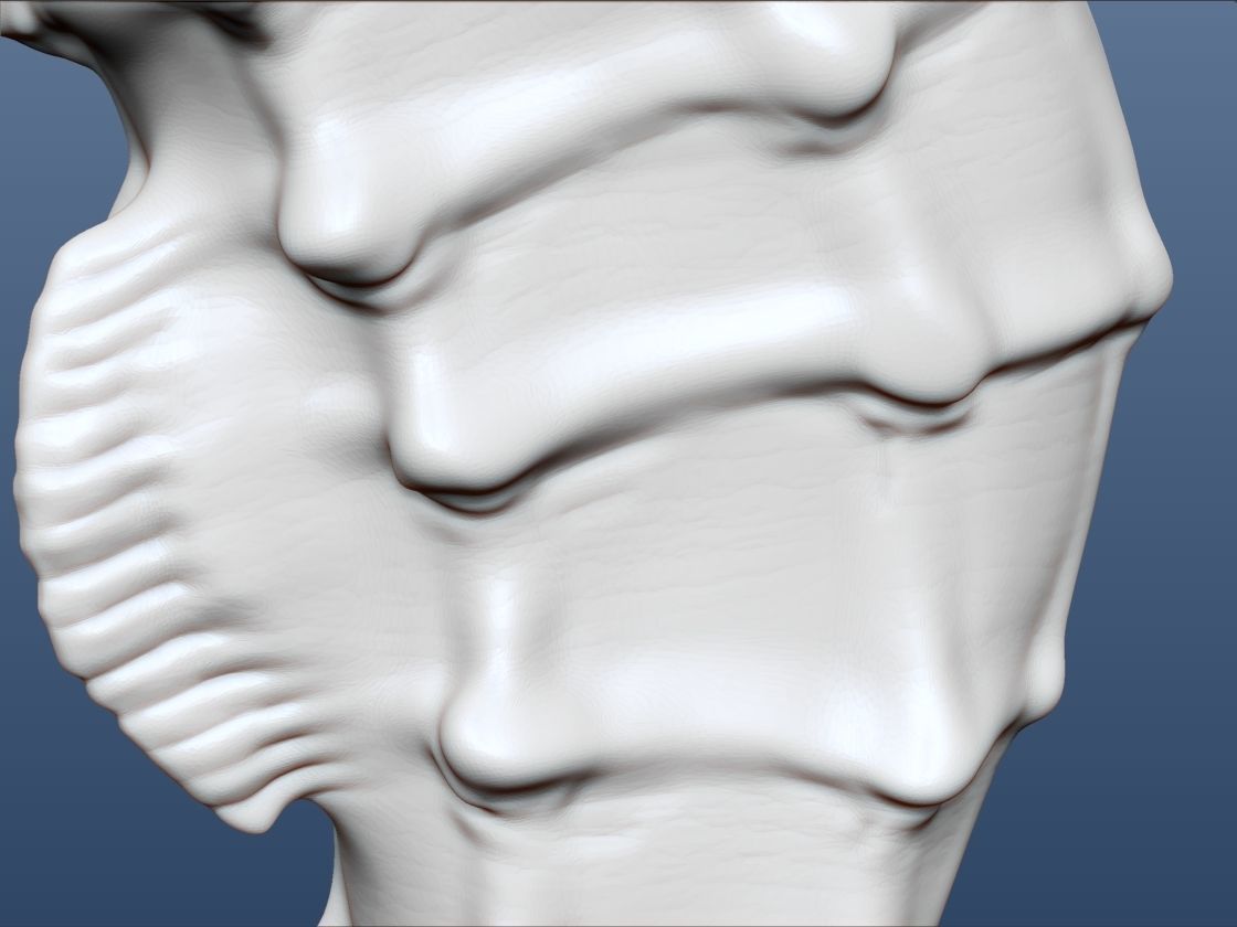 3d Printable Animal Seahorse 3D print model_8