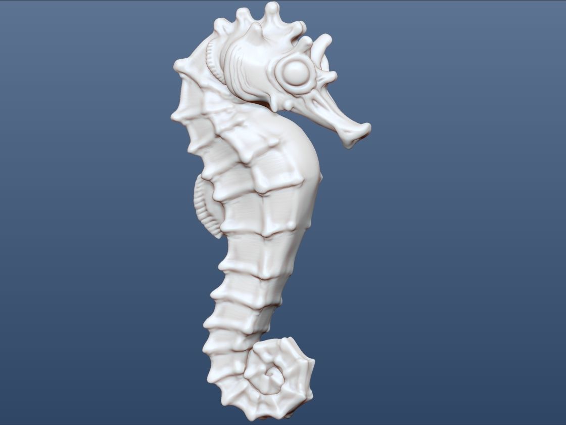 3d Printable Animal Seahorse 3D print model_6