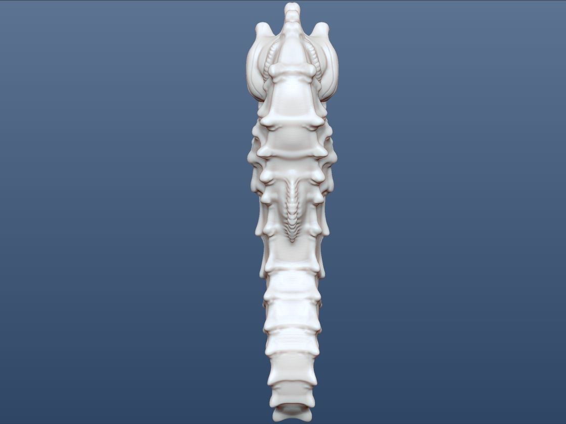 3d Printable Animal Seahorse 3D print model_13