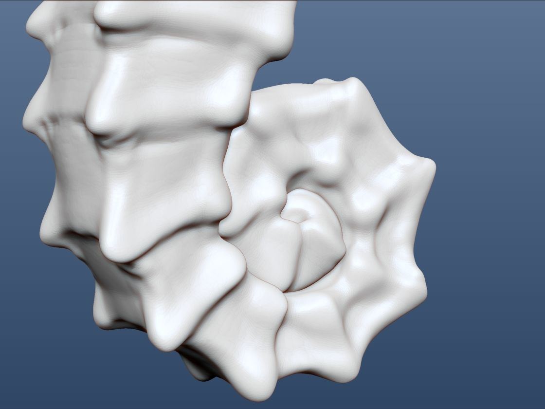 3d Printable Animal Seahorse 3D print model_11