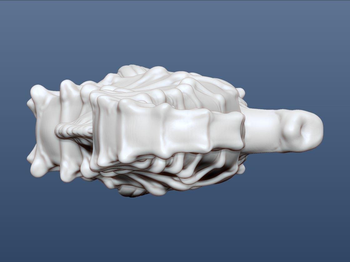 3d Printable Animal Seahorse 3D print model_12