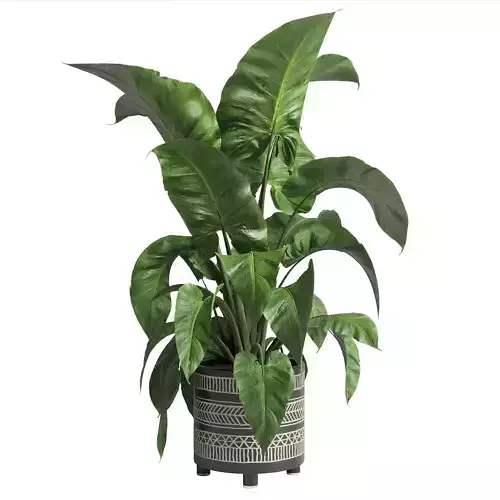 Indoor plant 66 vase handmade pottery plant pot