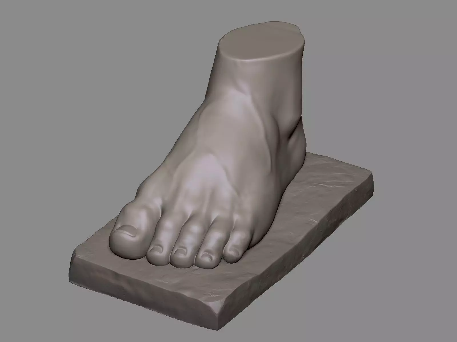 Foot Sculpture 1 3D print model_0