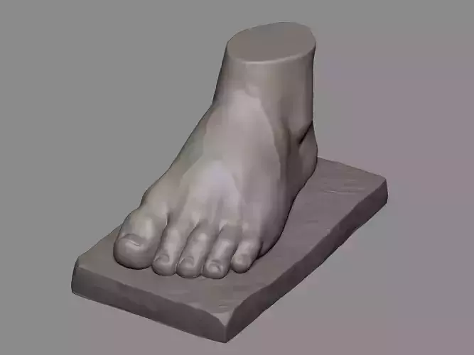 Foot Sculpture 1 3D print model
