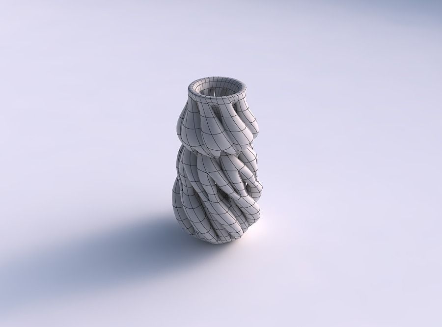 Vase with fat intertwining lines twisted 3D print model_5