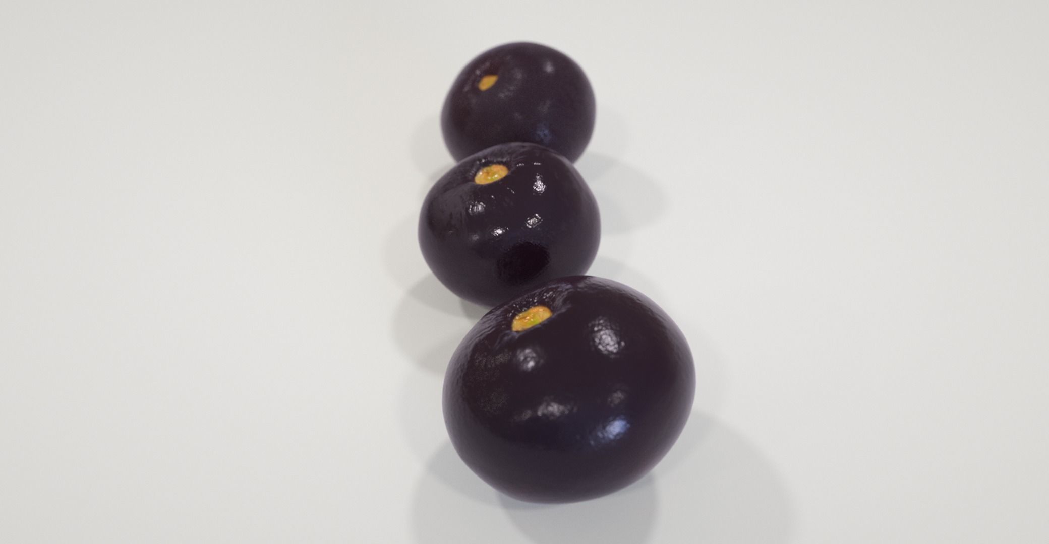 Akai acai 3D model | CGTrader