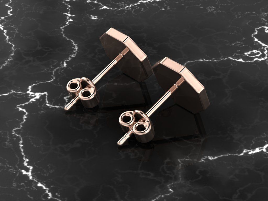 Jewelry Earring Octagon Shape 3D print model_6