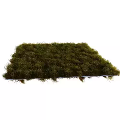 Realistic Grass 