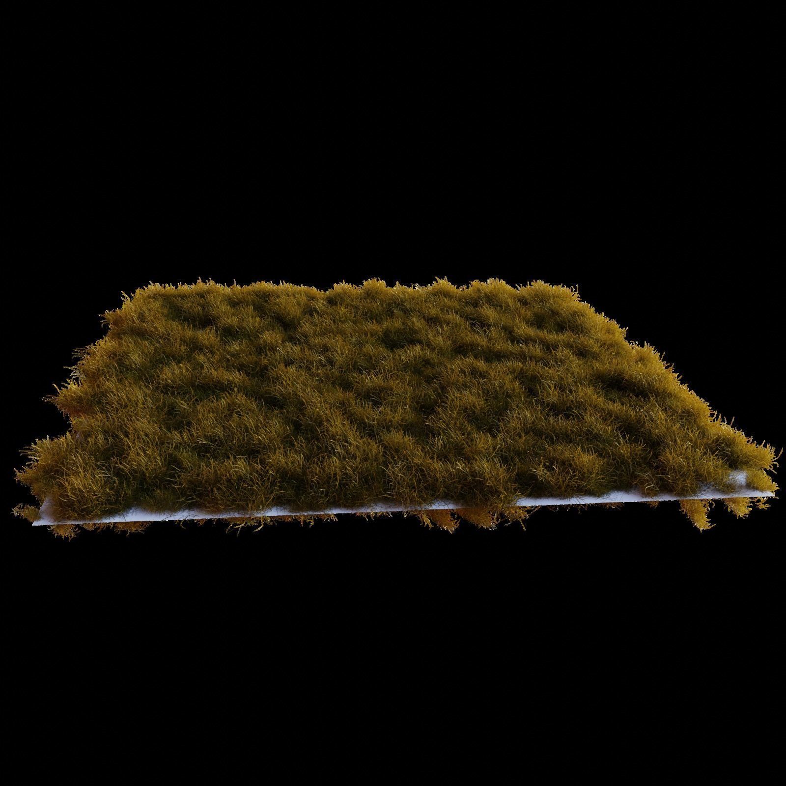Realistic Grass 3D model | CGTrader