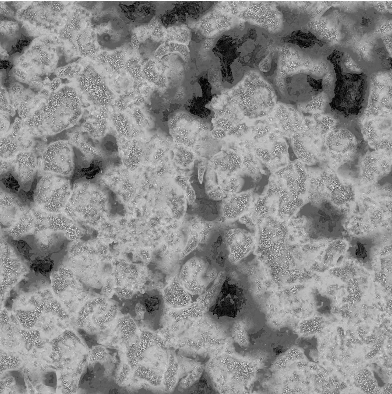 Muddy Soil Dirt Ground Seamless PBR Texture_6