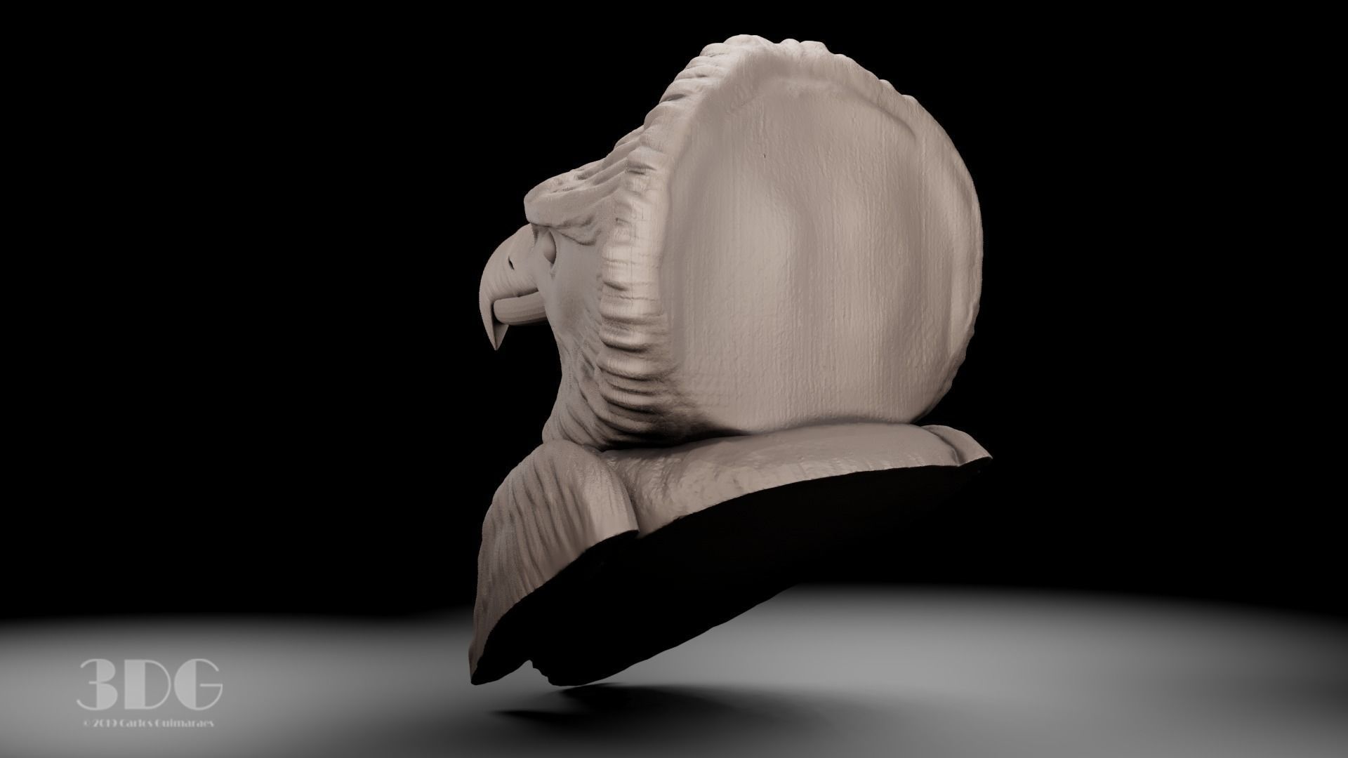 Harpy eagle head sculpture 3D print model_5