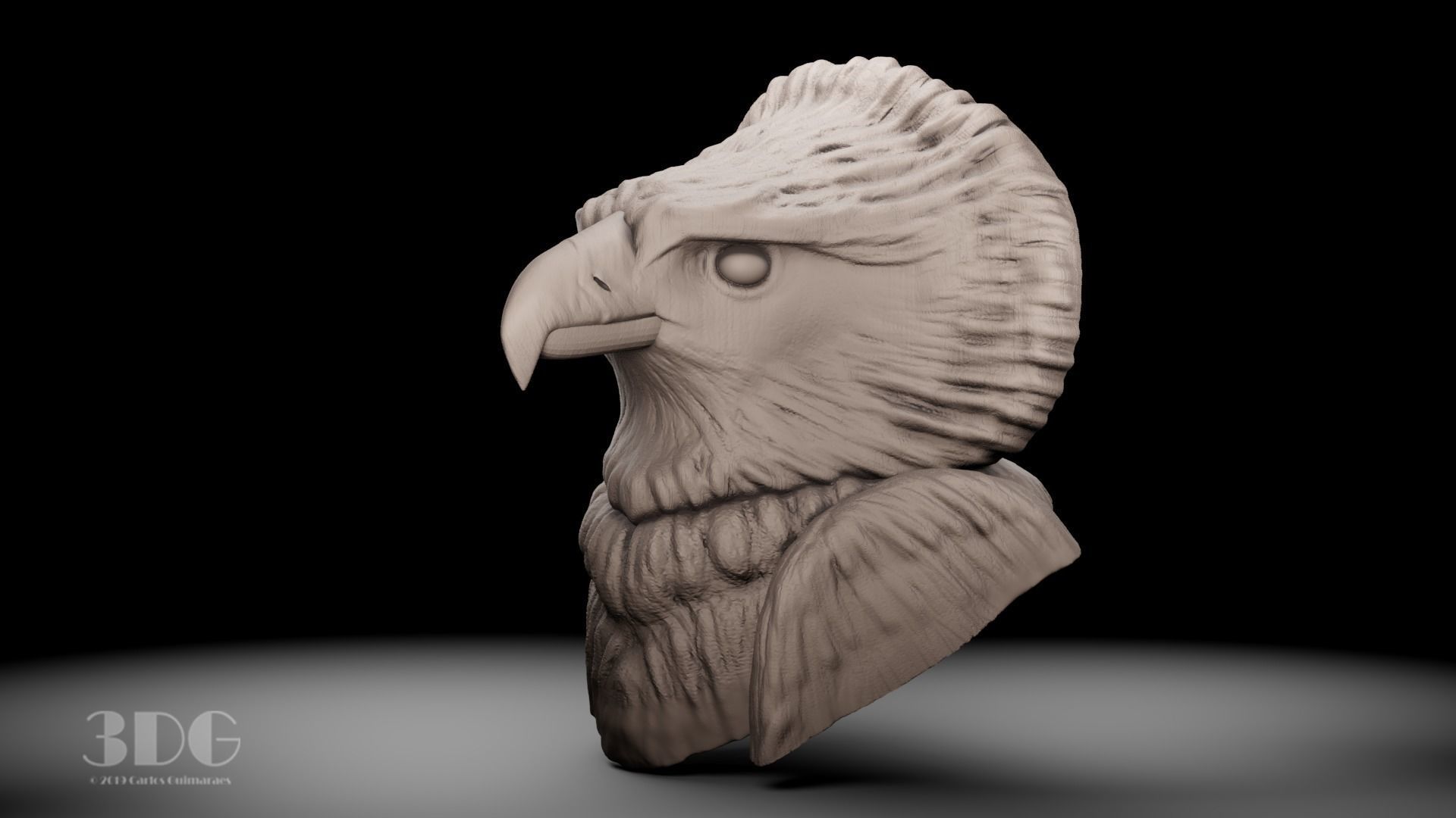 Harpy eagle head sculpture 3D print model_3