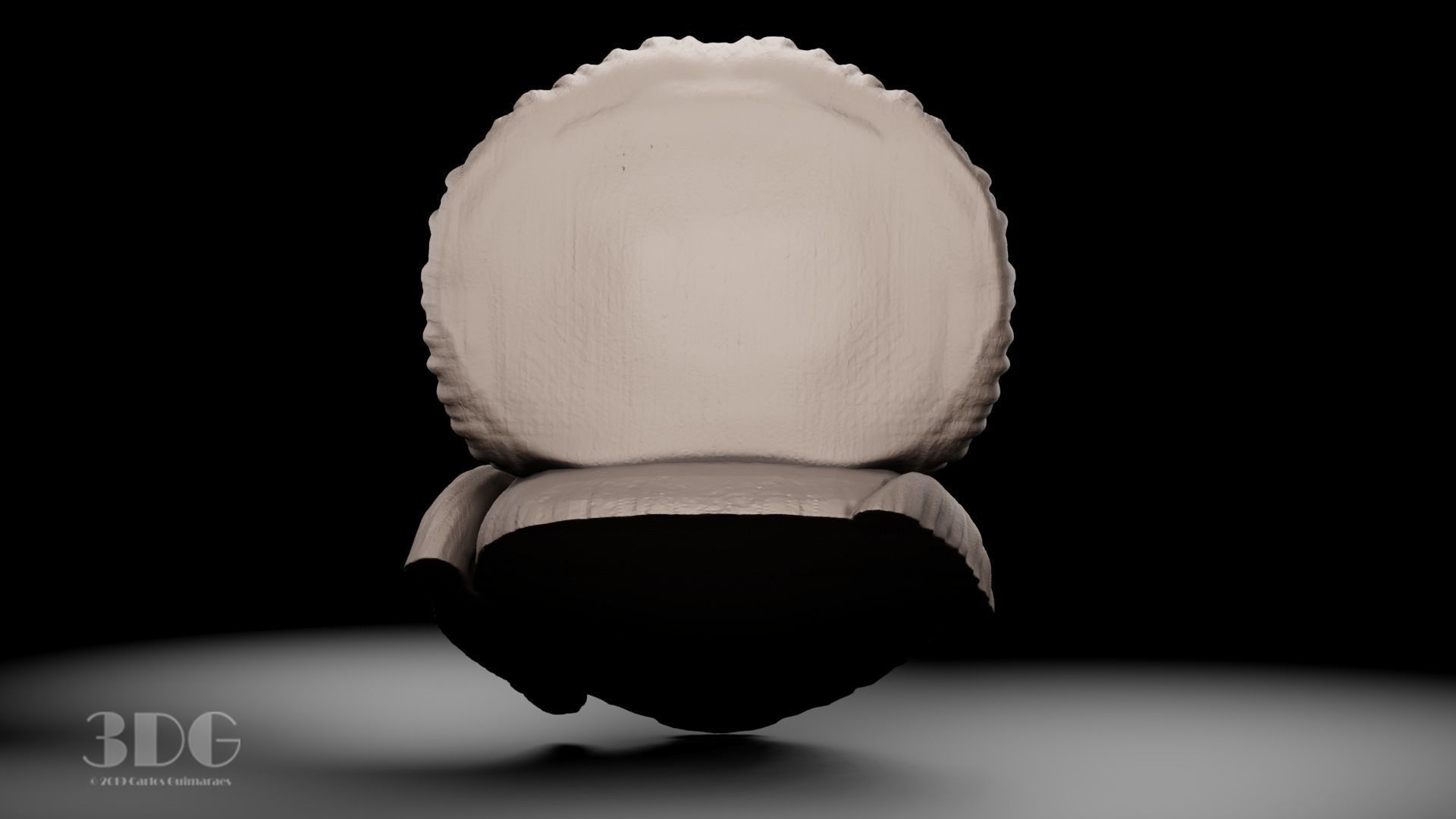 Harpy eagle head sculpture 3D print model_6