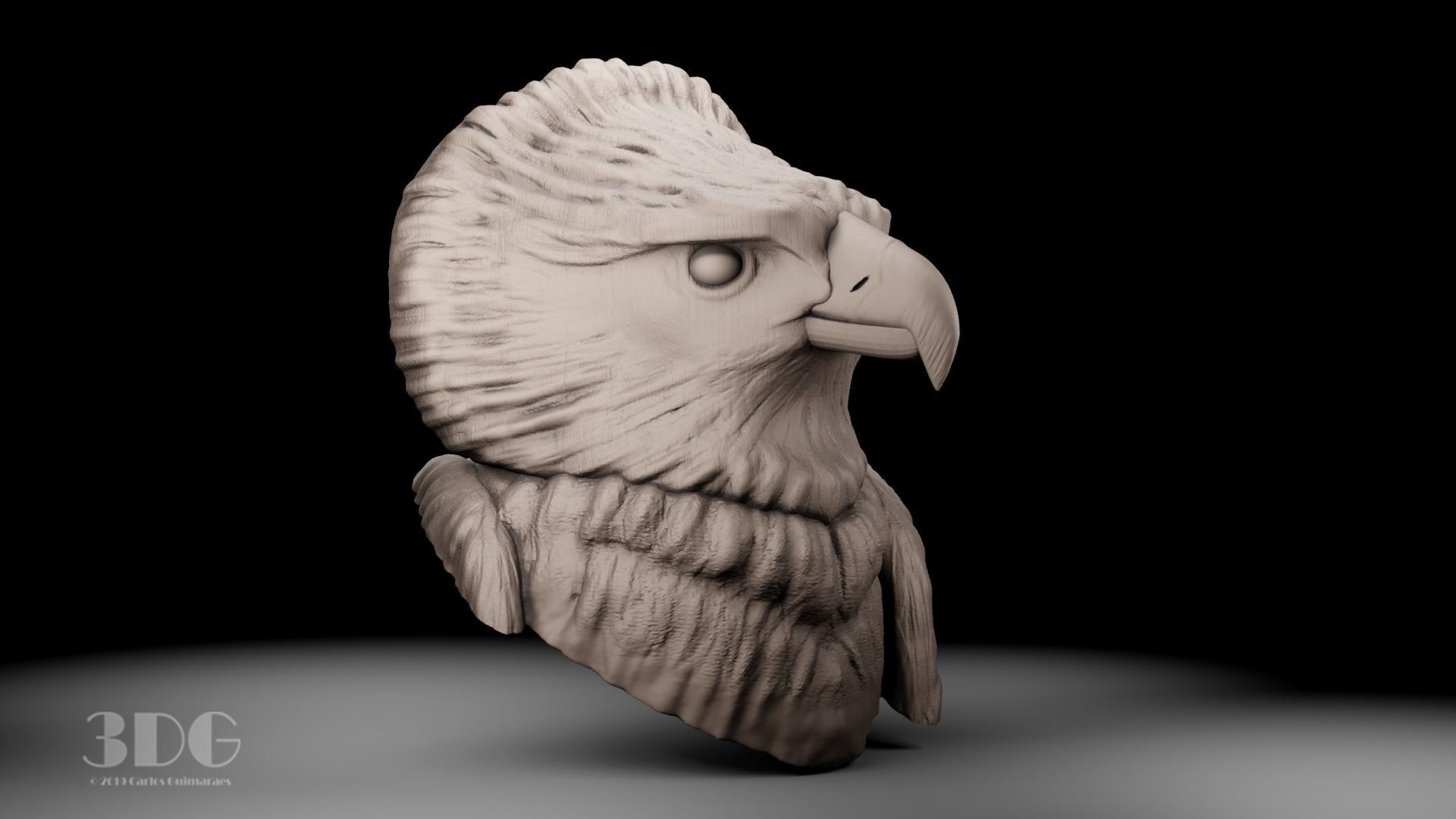 Harpy eagle head sculpture 3D print model_9