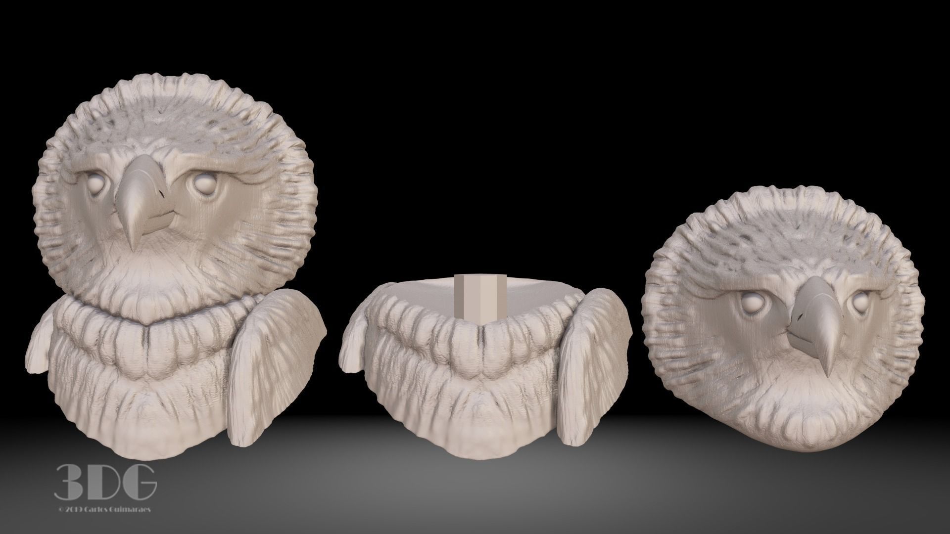 Harpy eagle head sculpture 3D print model_2