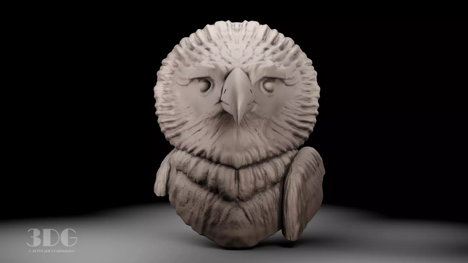 Harpy eagle head sculpture 3D print model_0