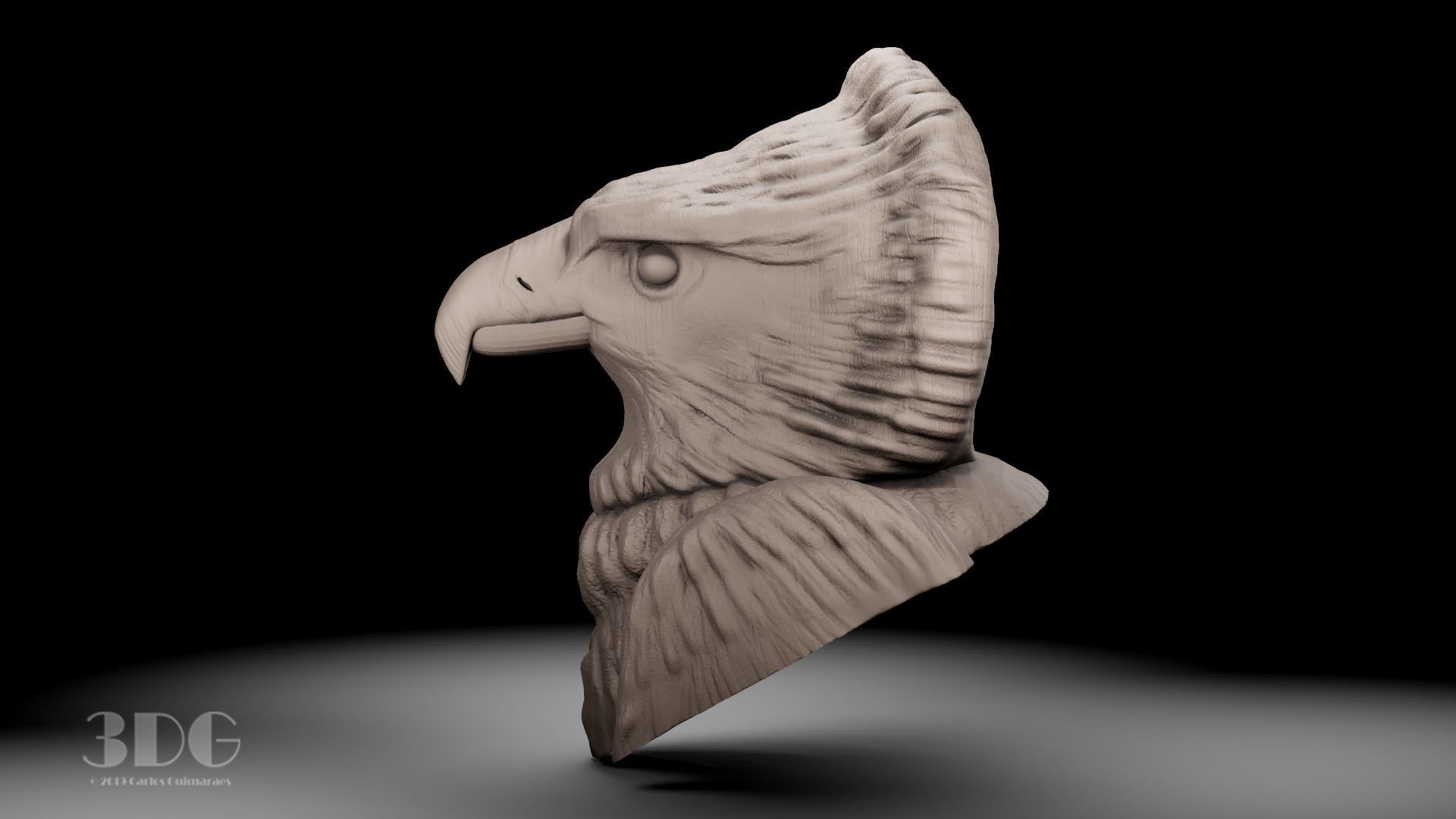 Harpy eagle head sculpture 3D print model_4