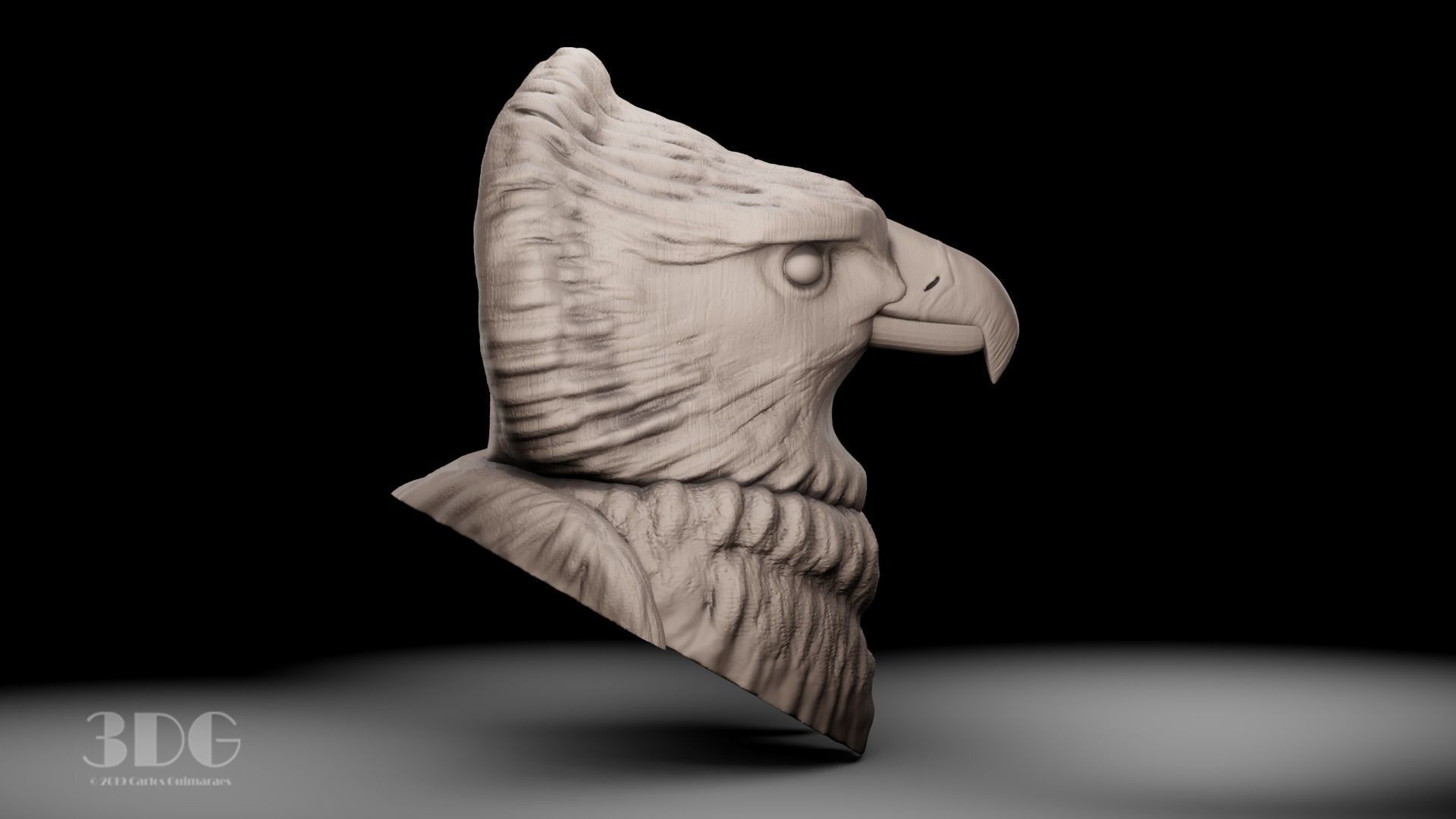 Harpy eagle head sculpture 3D print model_8