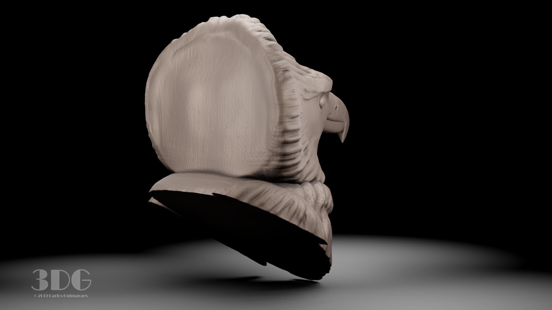 Harpy eagle head sculpture 3D print model_7