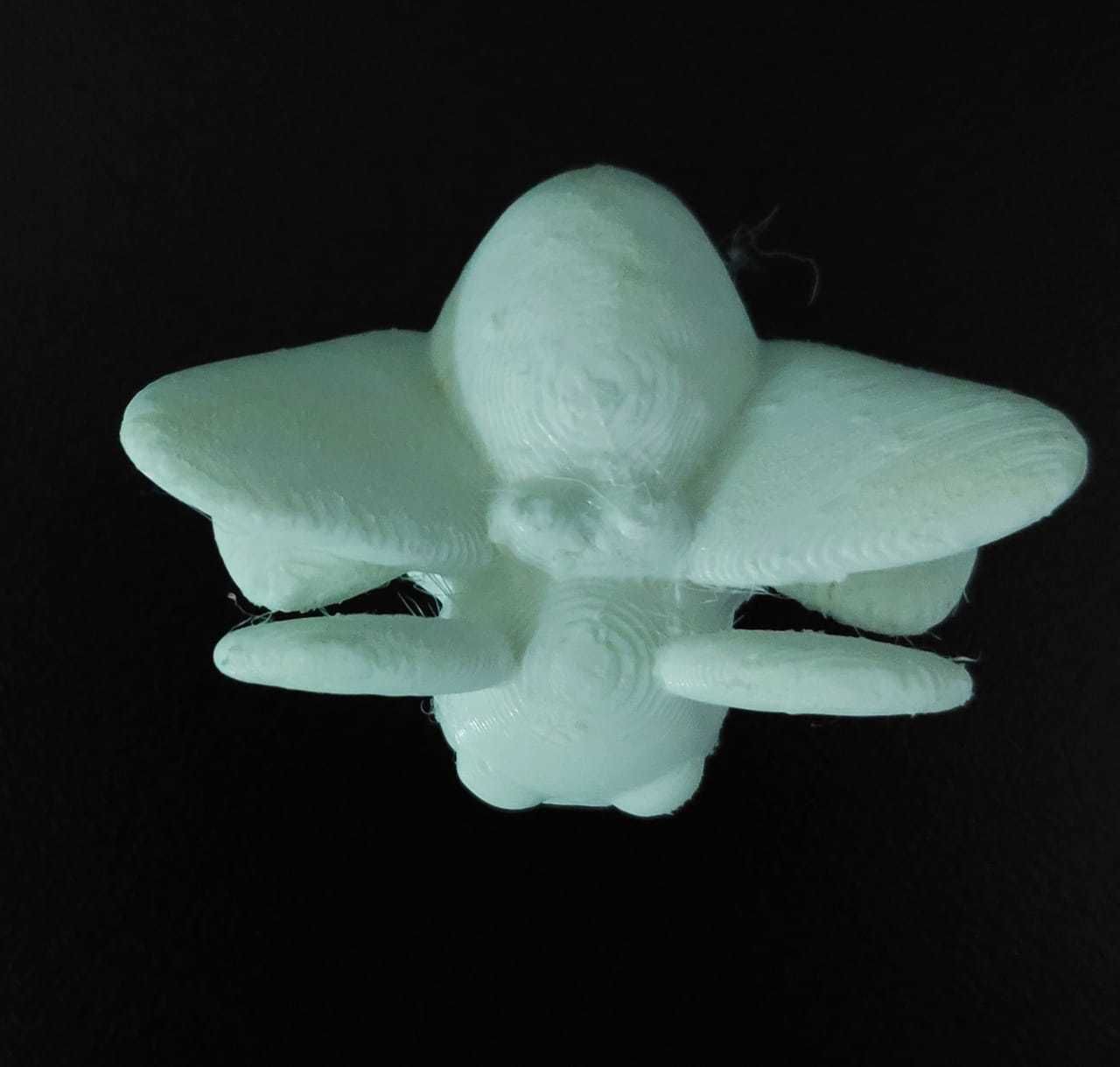 Cute Moth 3D print model_12