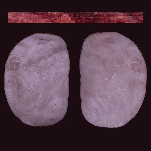 Package of Sausage 5 3D model 7