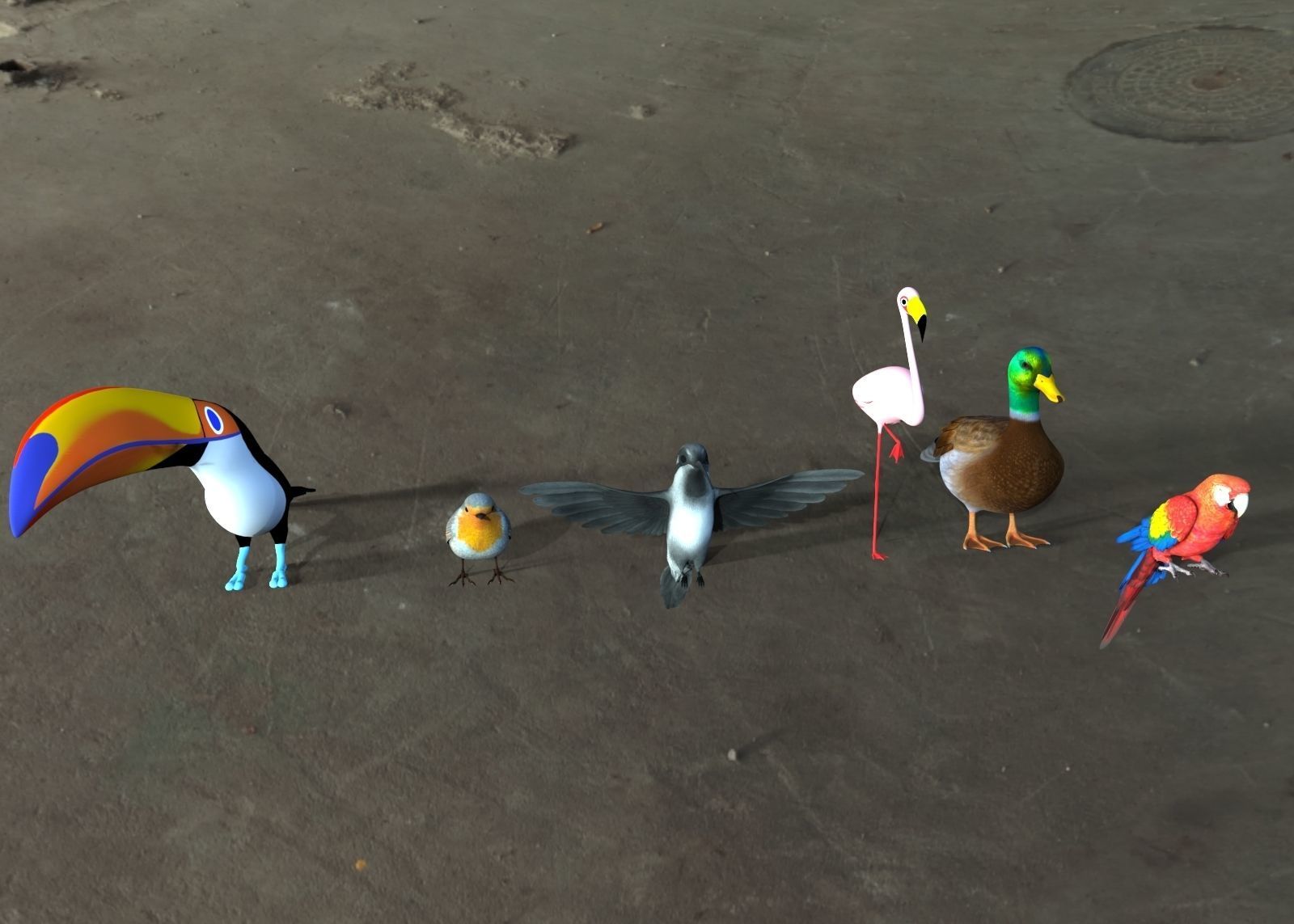 Bird Group Parrot Toucan Robbin Duck Hummingbird 3D model_3