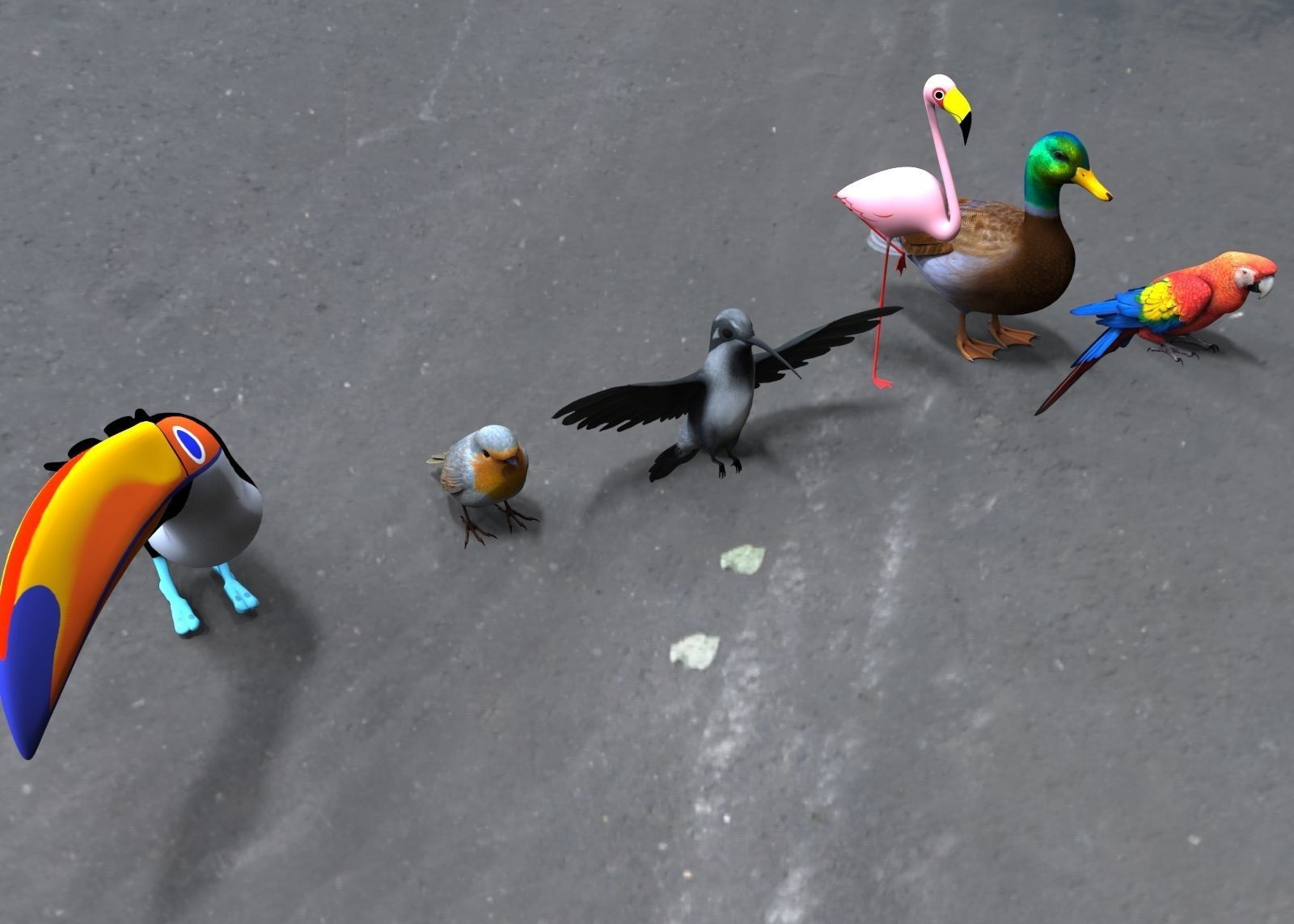 Bird Group Parrot Toucan Robbin Duck Hummingbird 3D model_2