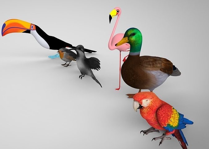 Bird Group Parrot Toucan Robbin Duck Hummingbird 3D model