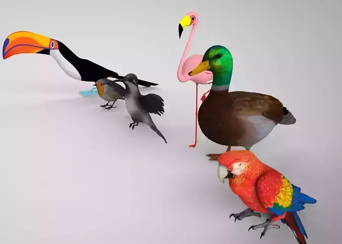 Bird Group Parrot Toucan Robbin Duck Hummingbird 3D model