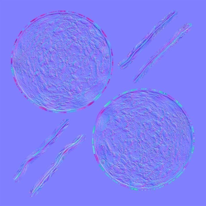 Sliced Salami 1 3D model_11