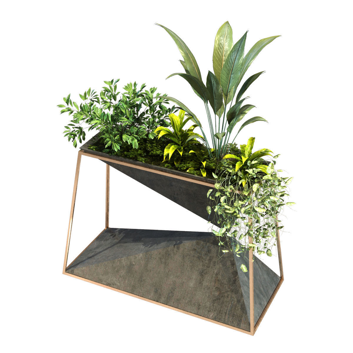 plant in box set 091 Low-poly 3D model_6