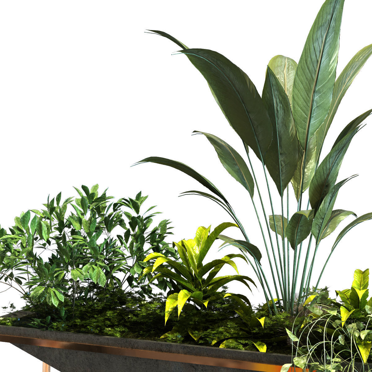 plant in box set 091 Low-poly 3D model_4