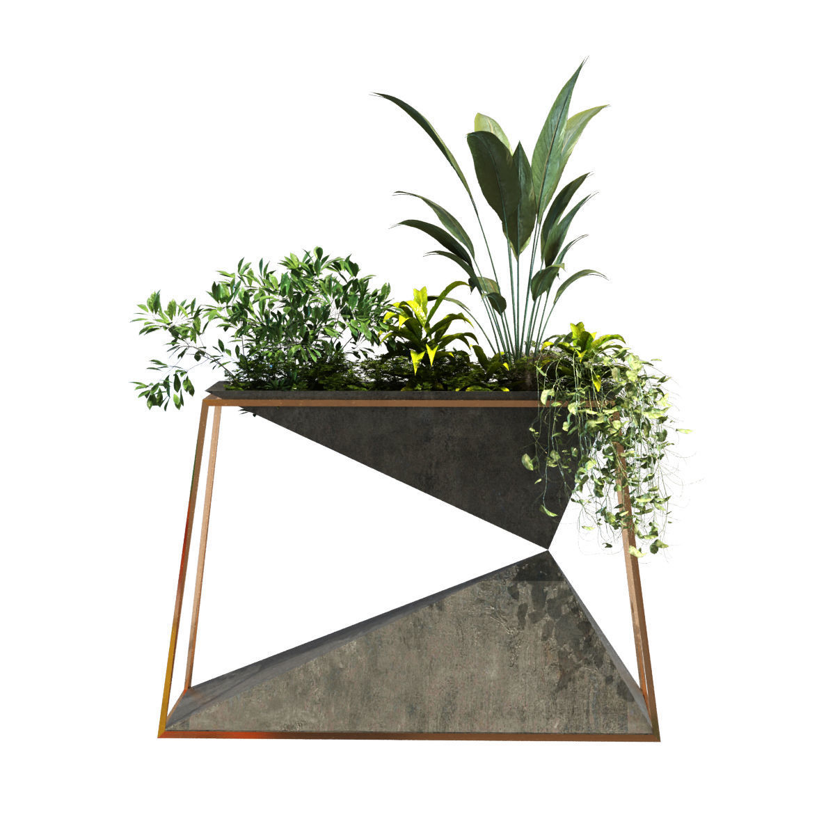 plant in box set 091 Low-poly 3D model_2
