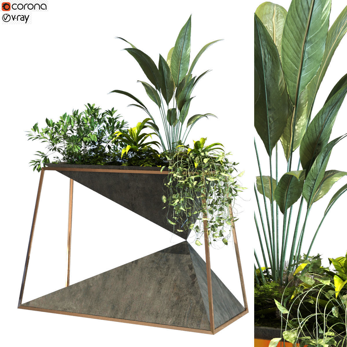 plant in box set 091 Low-poly 3D model_1