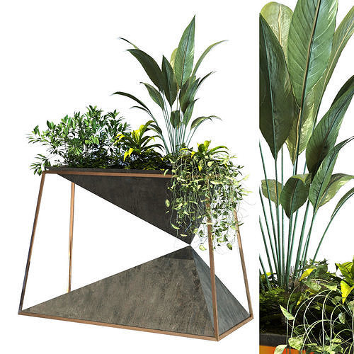 plant in box set 091 Low-poly 3D model